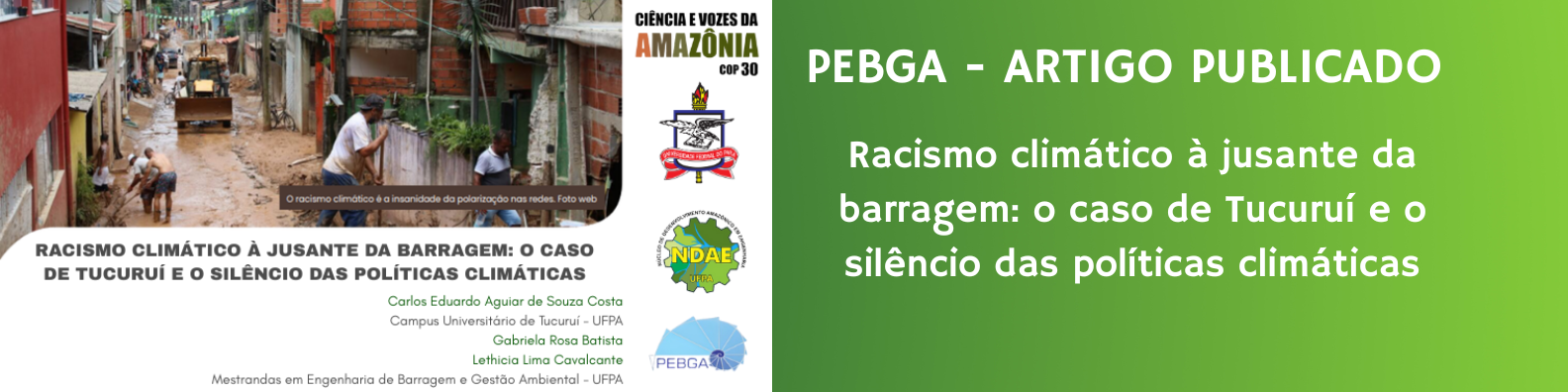 PEBGA- Artigo Publicado 